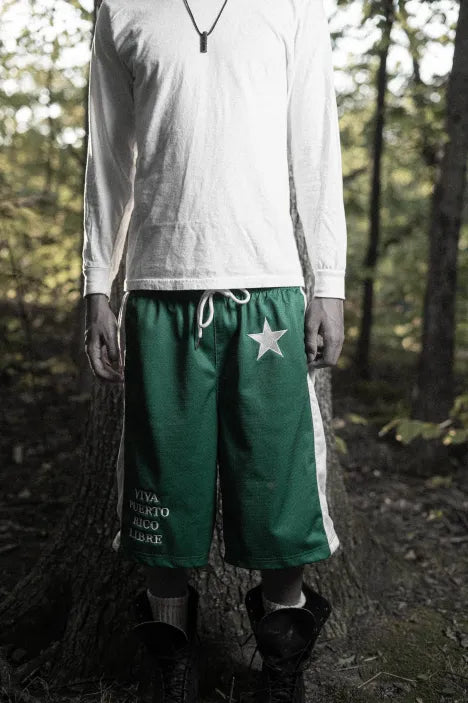 Independence Shorts